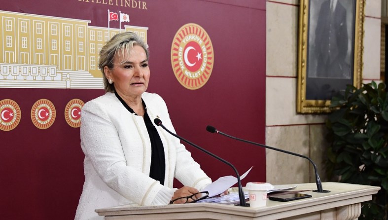 İYİ Partili milletvekili Nimet Özdemir istifa etti